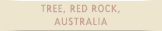 lsm_tree_red_rock_on
