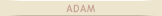 psm_adam_on